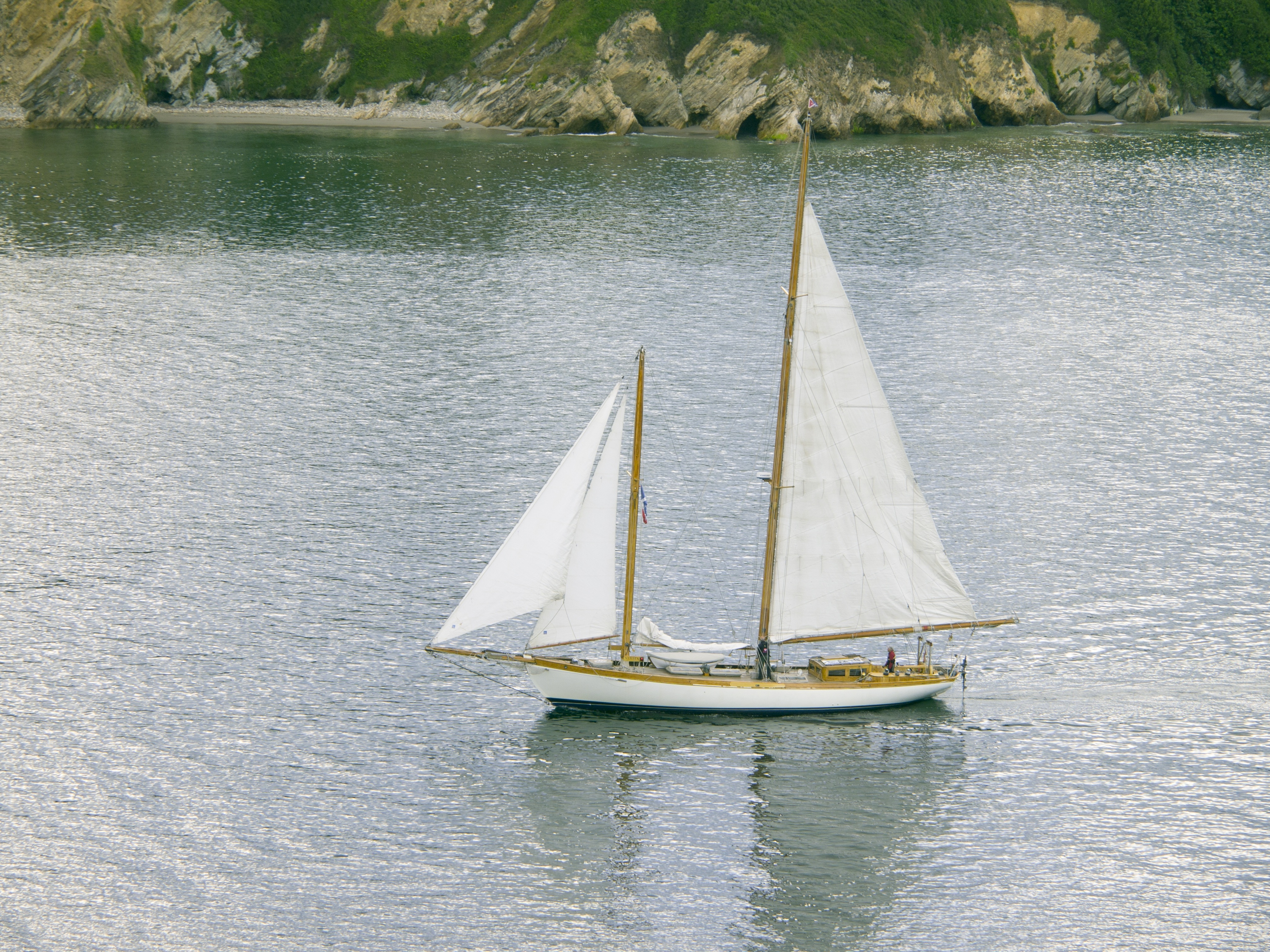 white and brown sail boat
