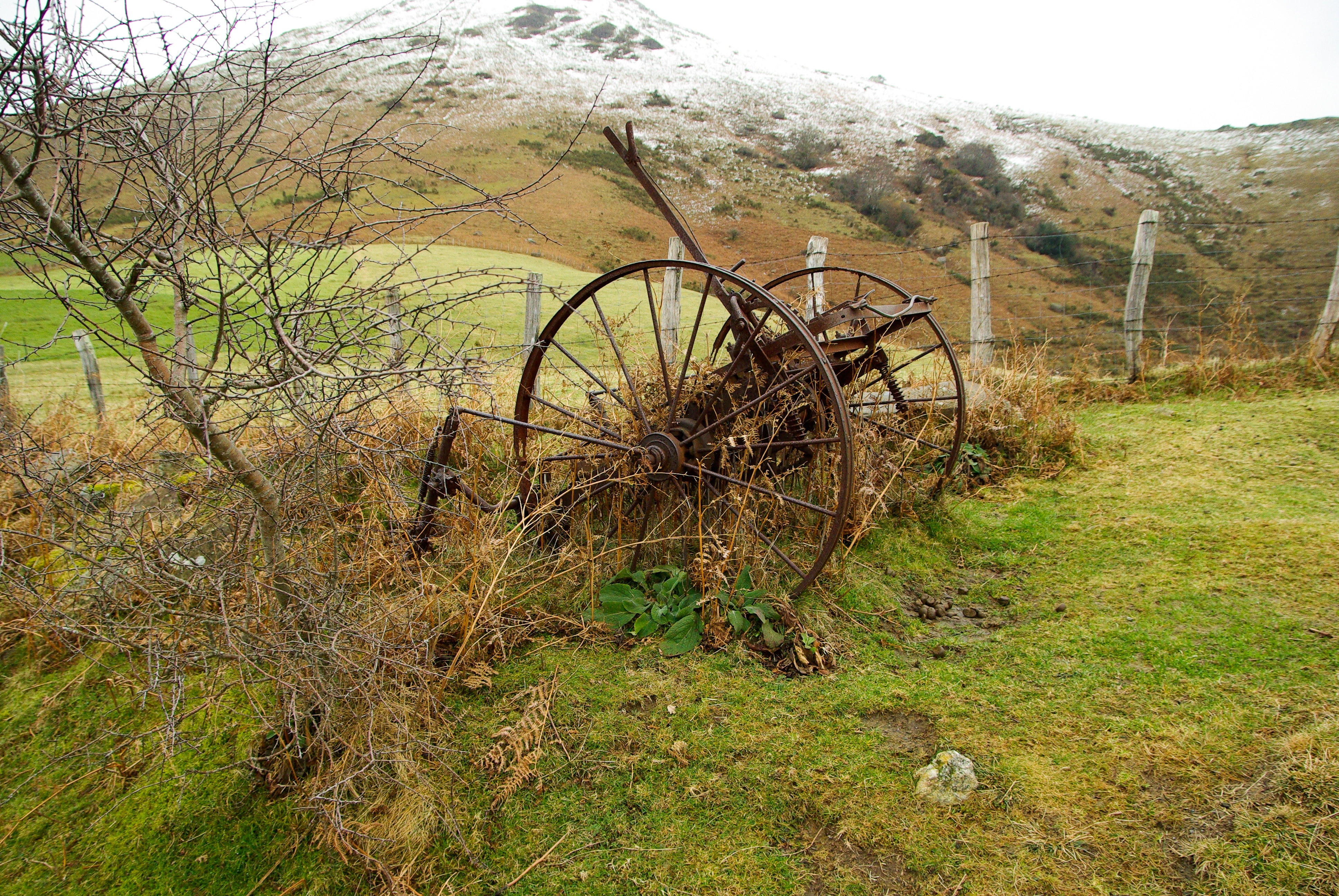 brown metal wheels in a green field