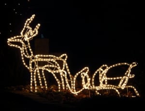 reindeer and sleigh neon light thumbnail