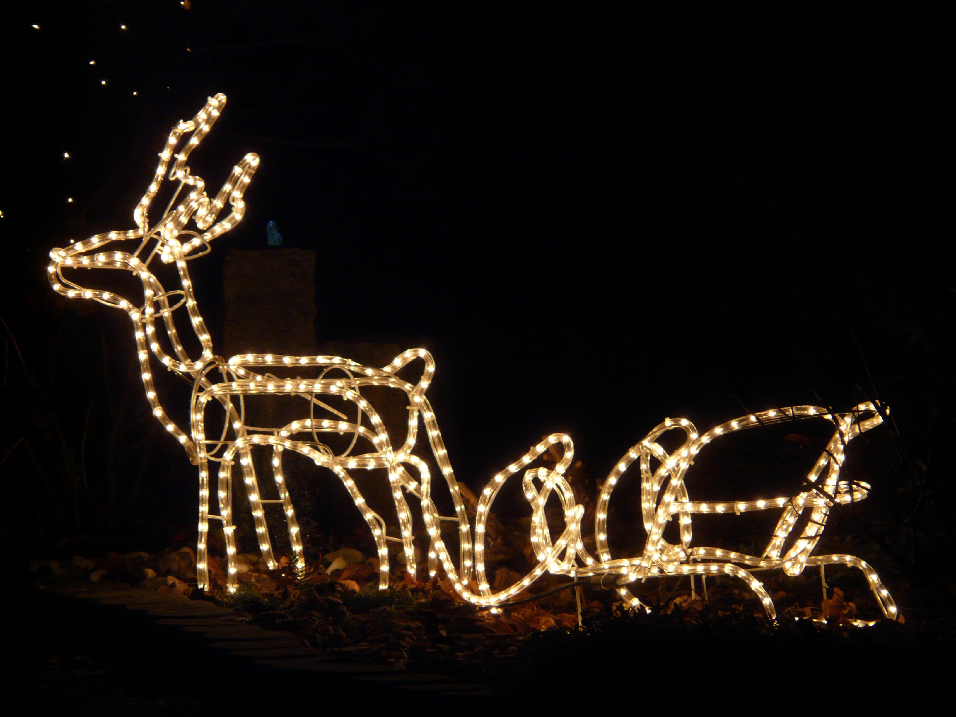 reindeer and sleigh neon light