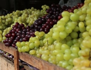 green and purple grapes fruit on display thumbnail