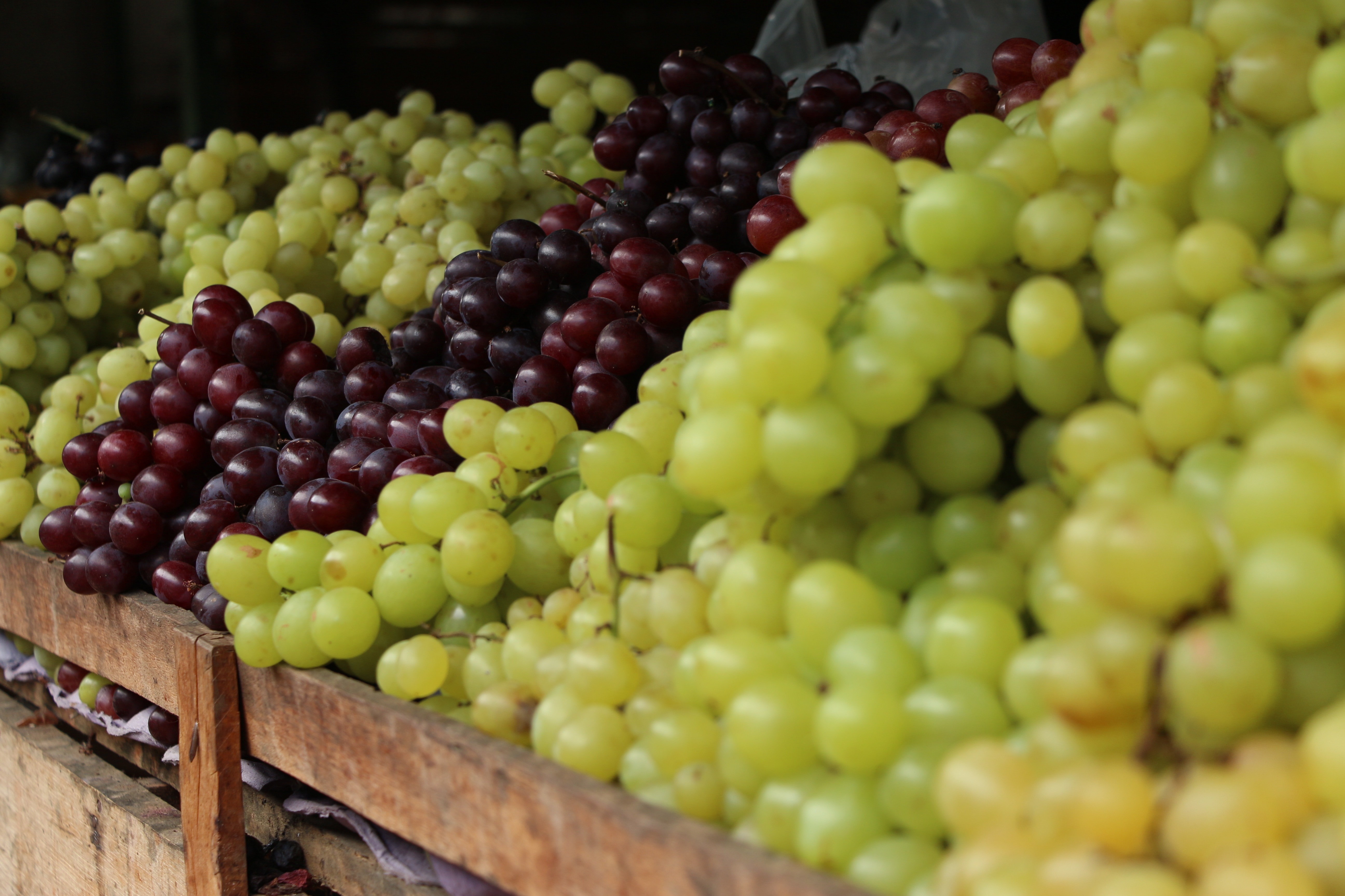 green and purple grapes fruit on display