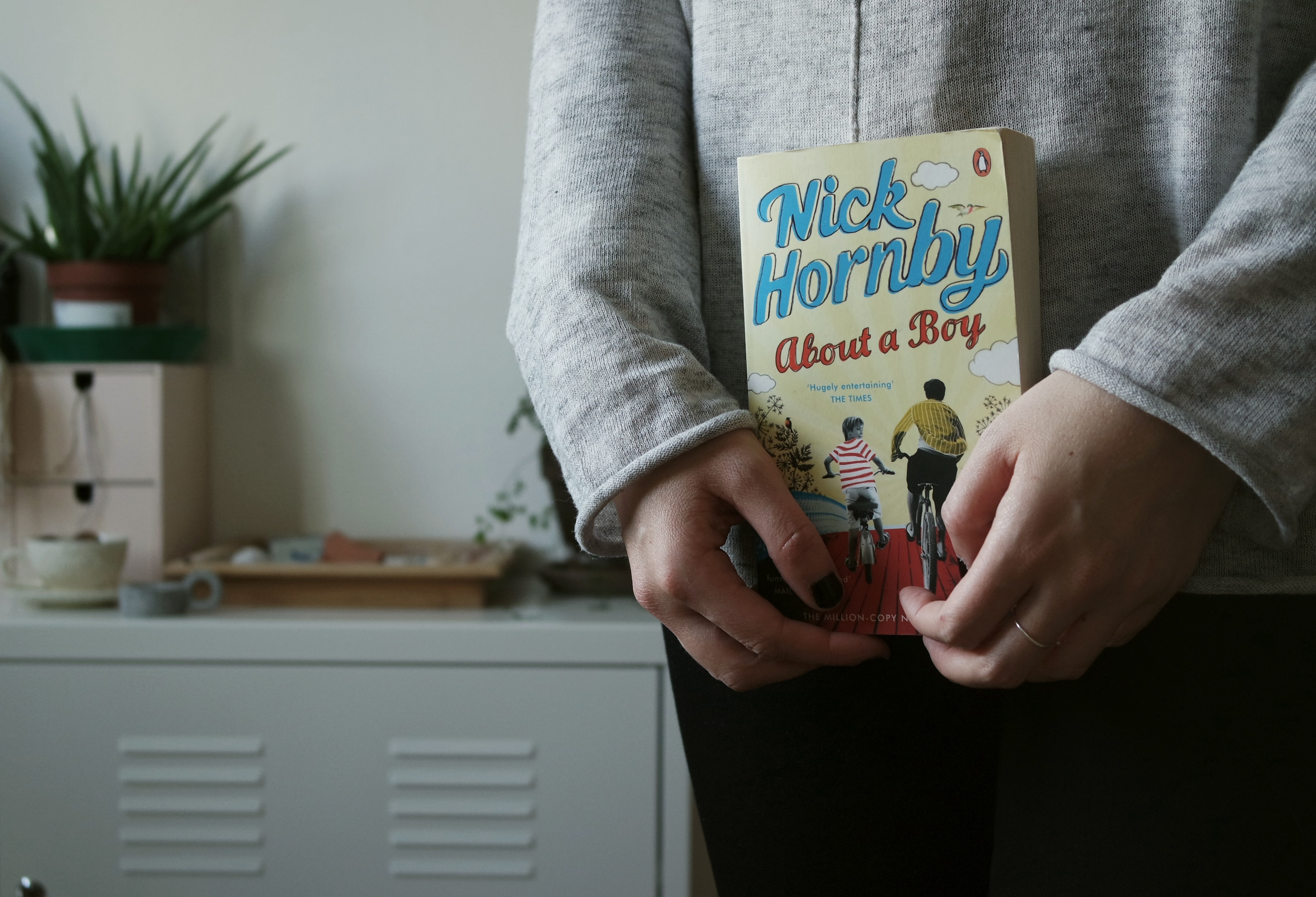 person in gray long sleeve shirt holding nich hornby about a boy bok