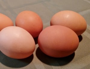 five red eggs thumbnail
