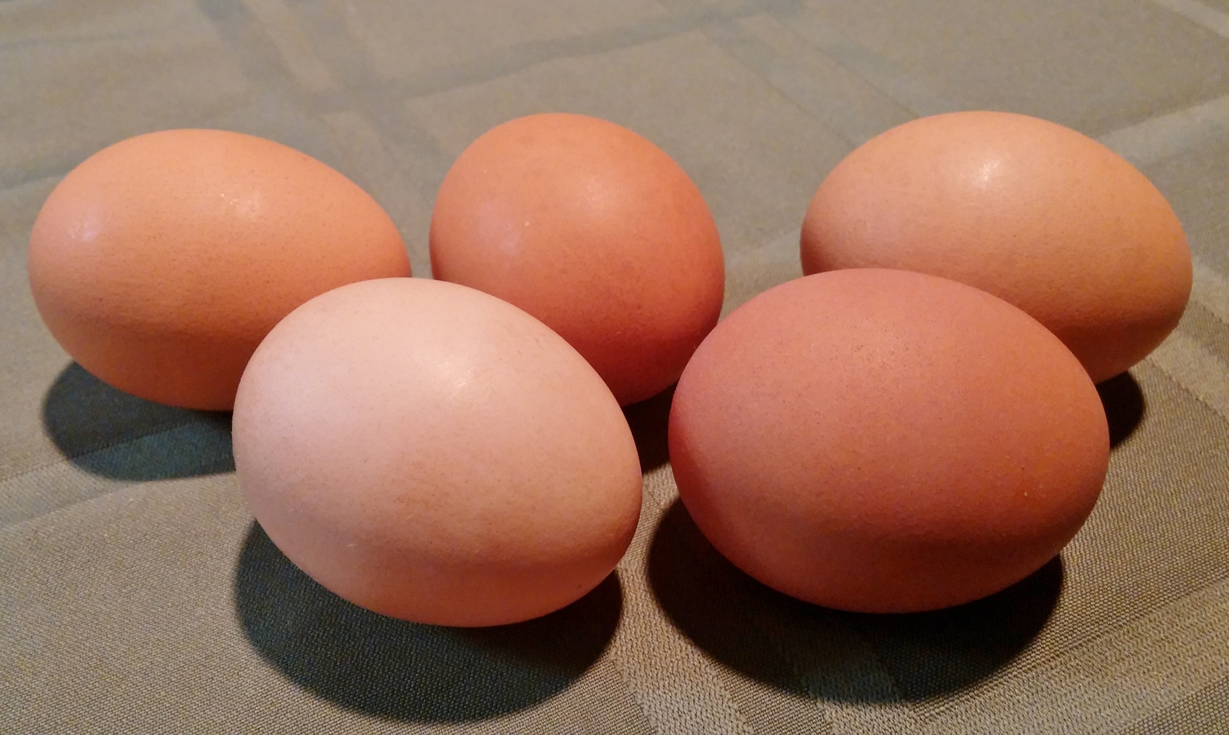 five red eggs