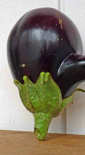 purple and green eggplant thumbnail