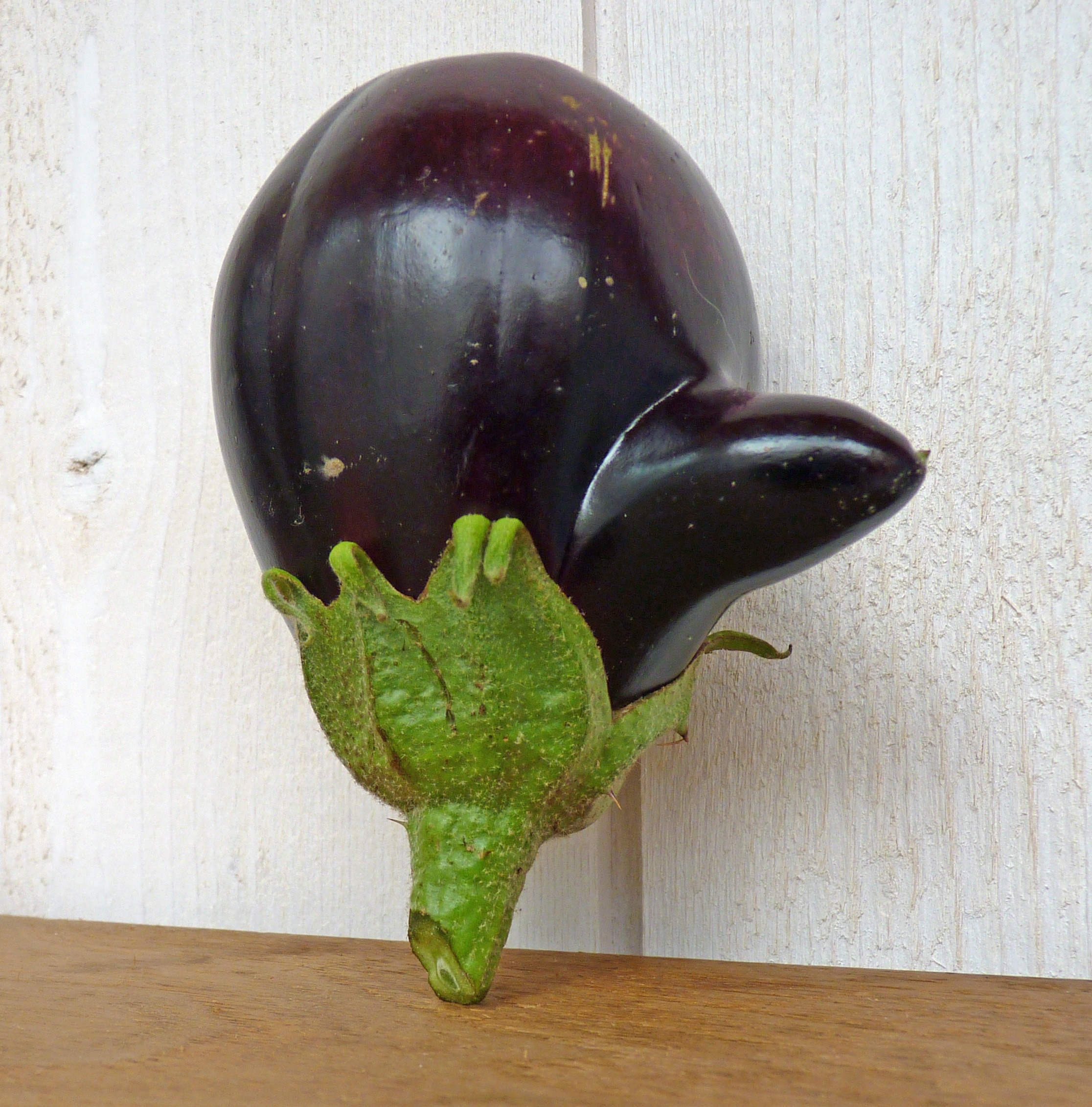 purple and green eggplant