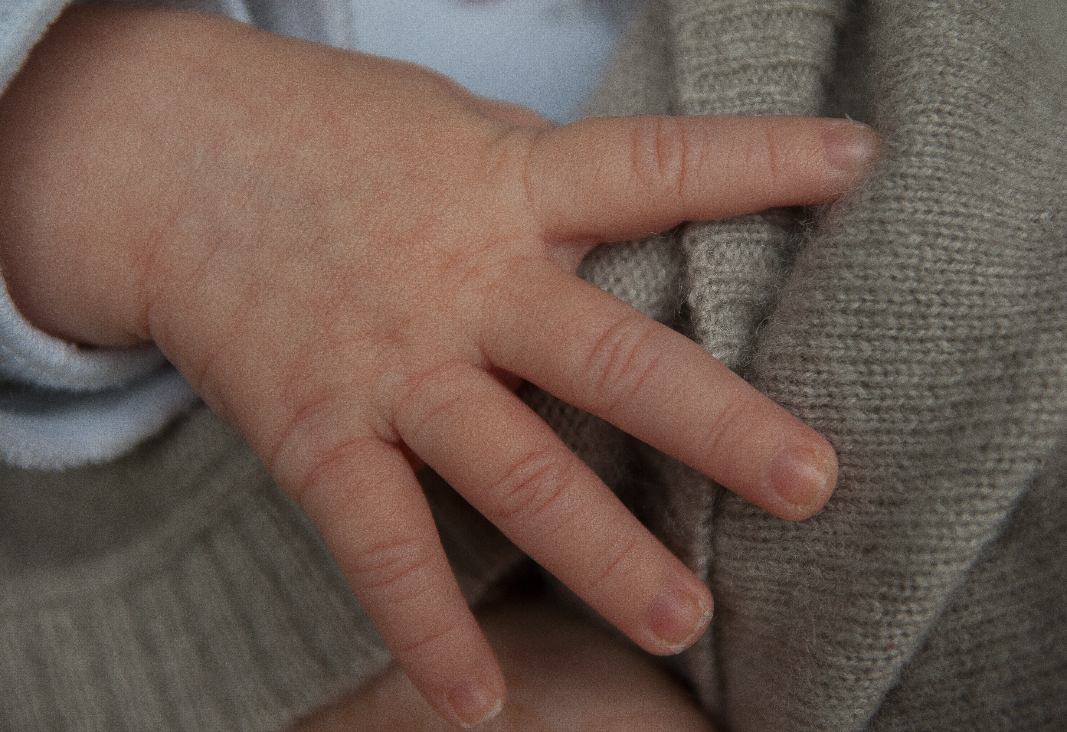 human baby hand