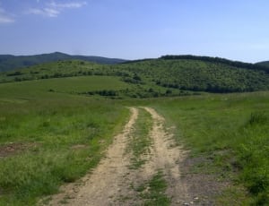 brown dirt road with green grass thumbnail