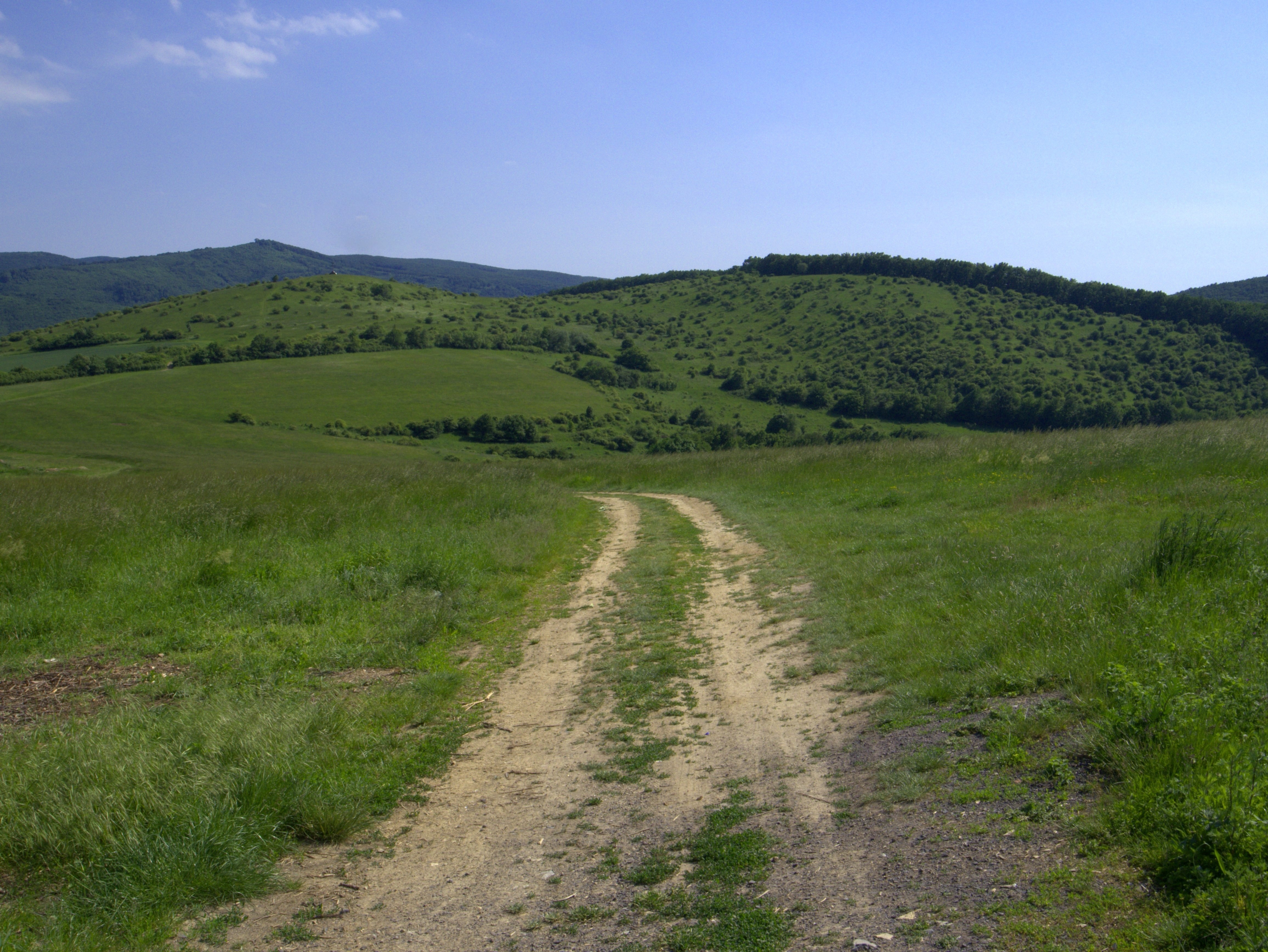 brown dirt road with green grass