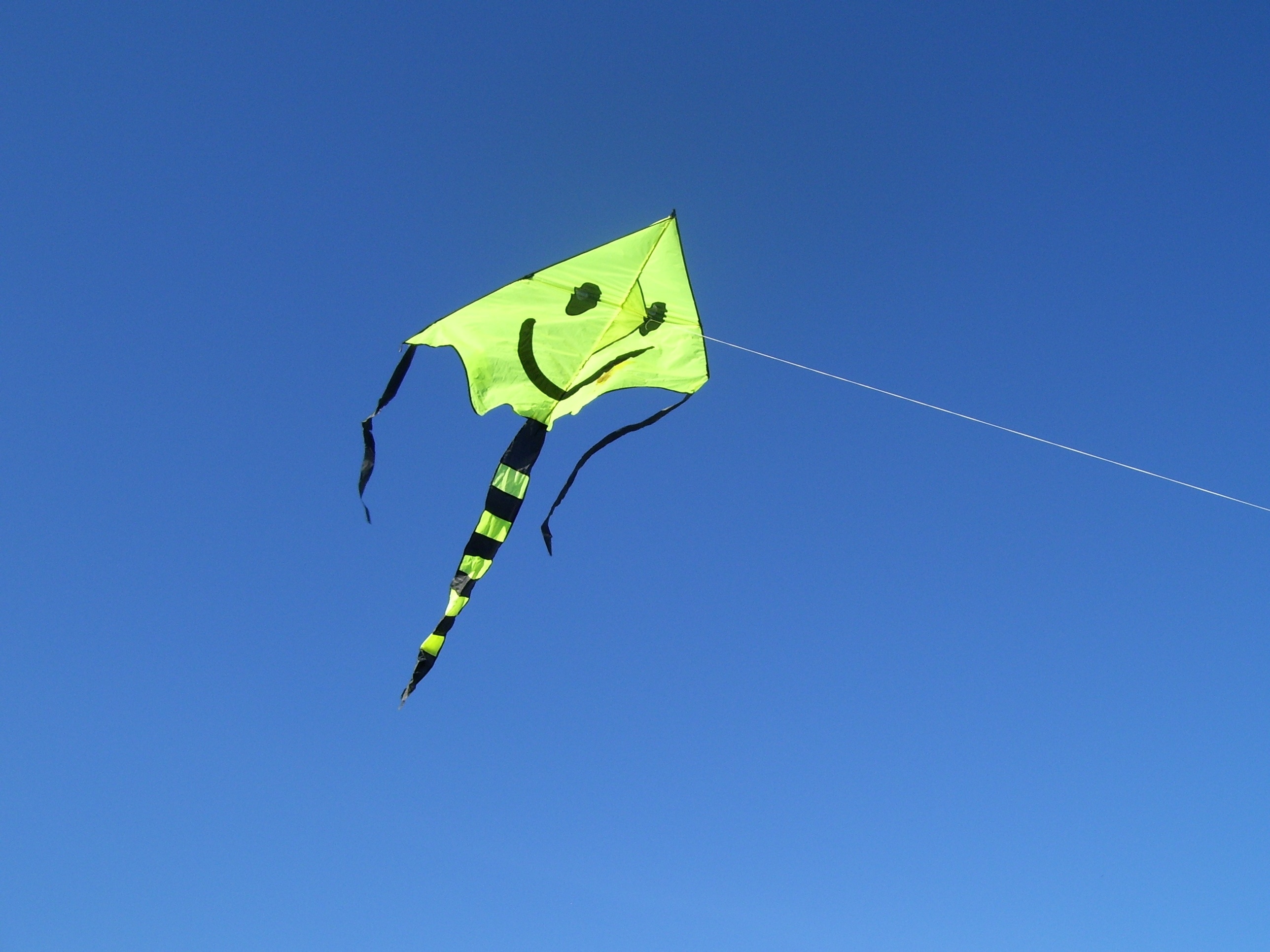 yellow and black kite