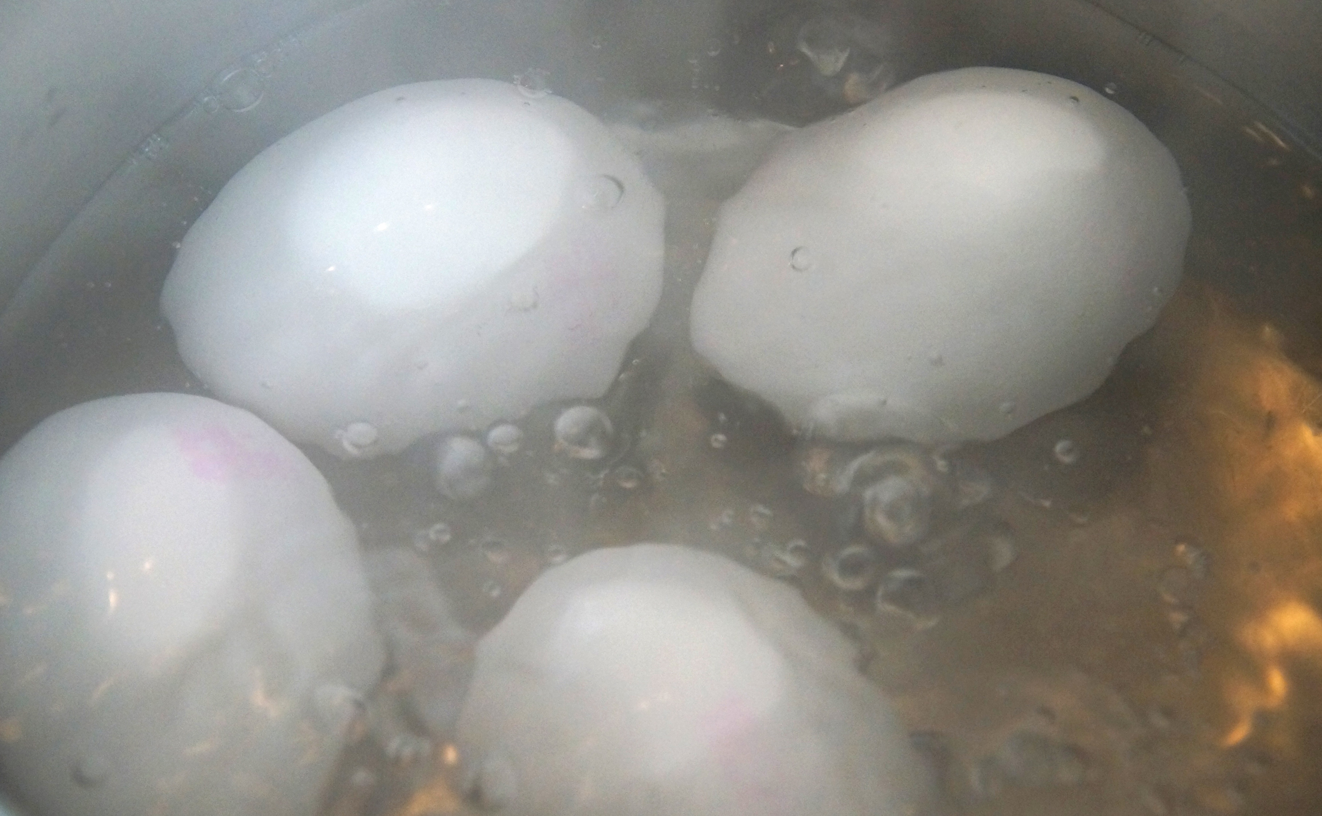 Яйца в кипящую или холодную. Яйца в кастрюле. Белые яйца в аквариуме. Маленькие белые яйца в аквариуме. Яйцо с жидким желтком.