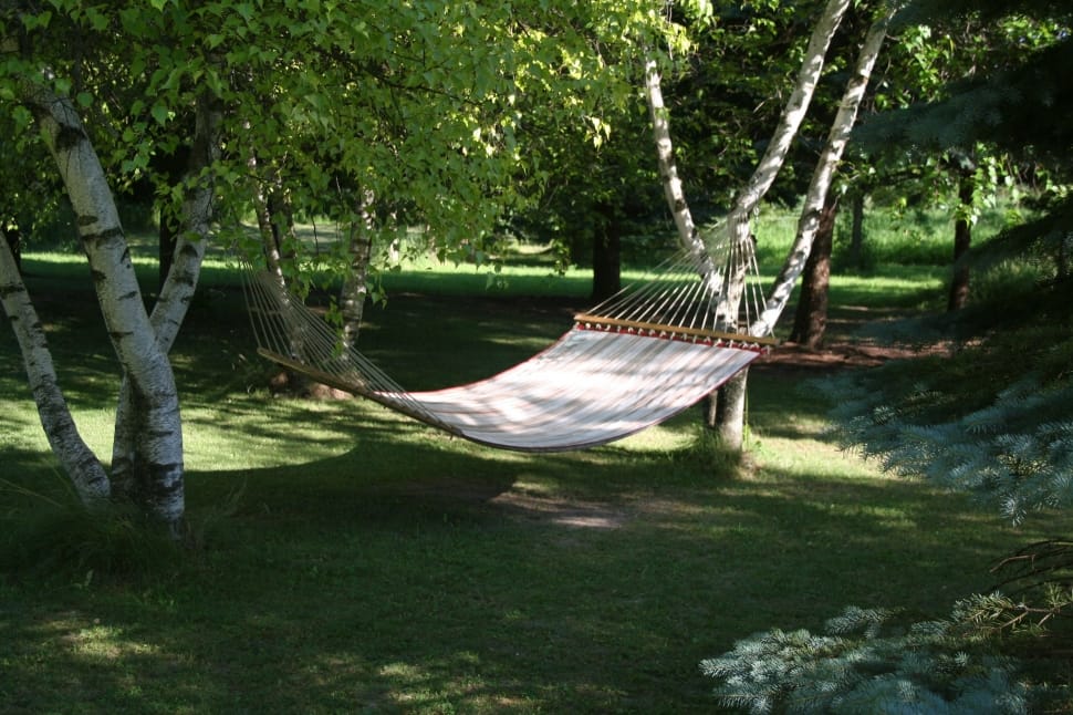 white and brown hammock near trees preview