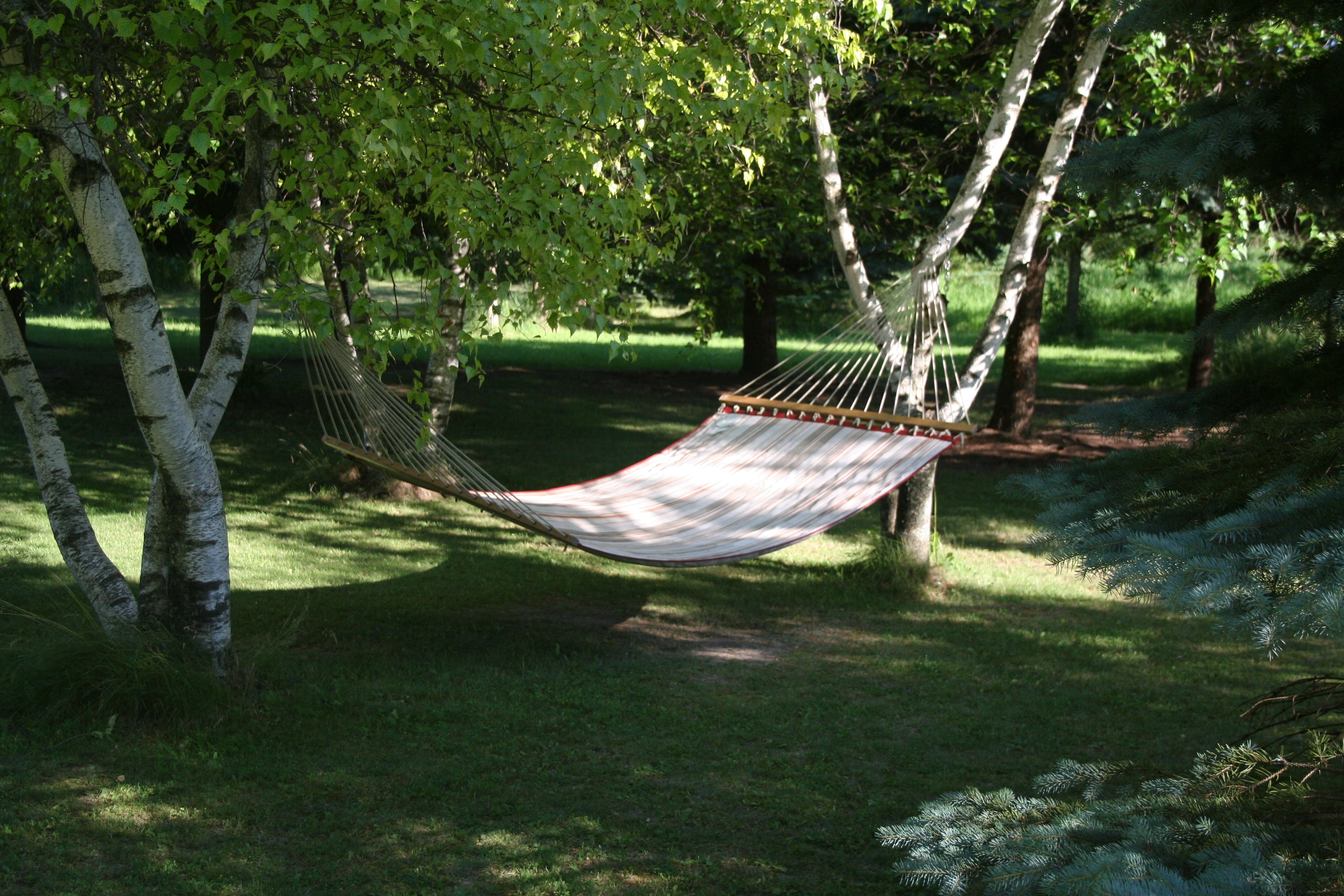 white and brown hammock near trees