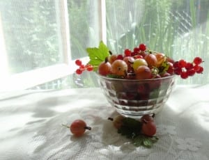 red grapes on glass bowl thumbnail