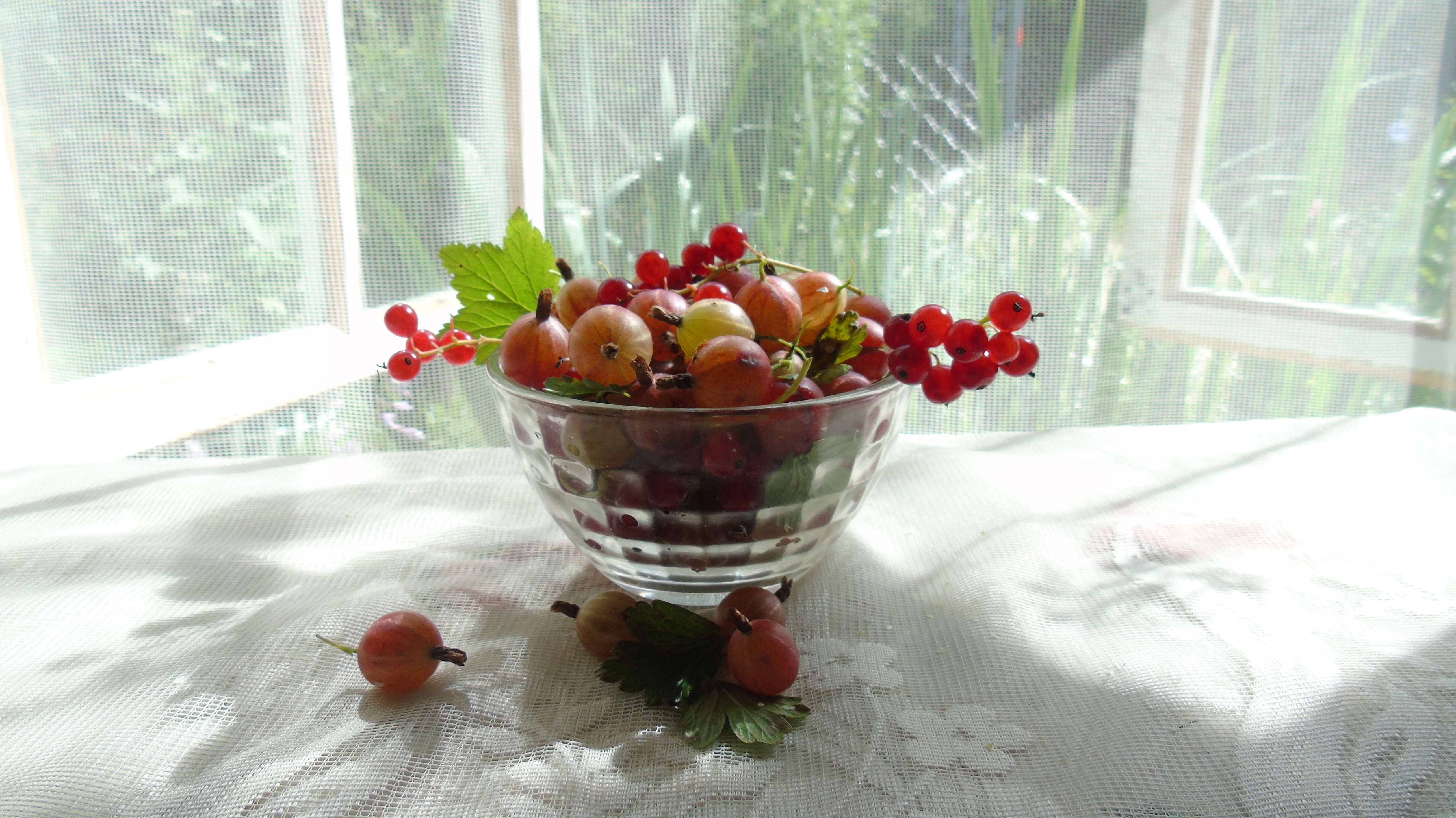 red grapes on glass bowl