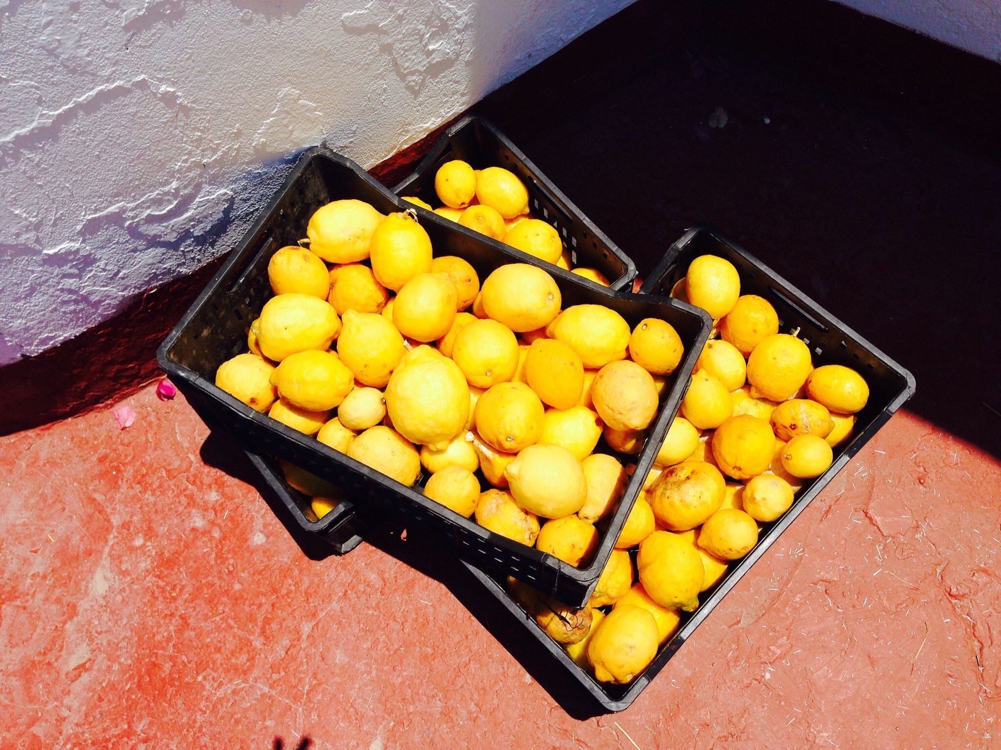 Сколько кг лимонов в ящике