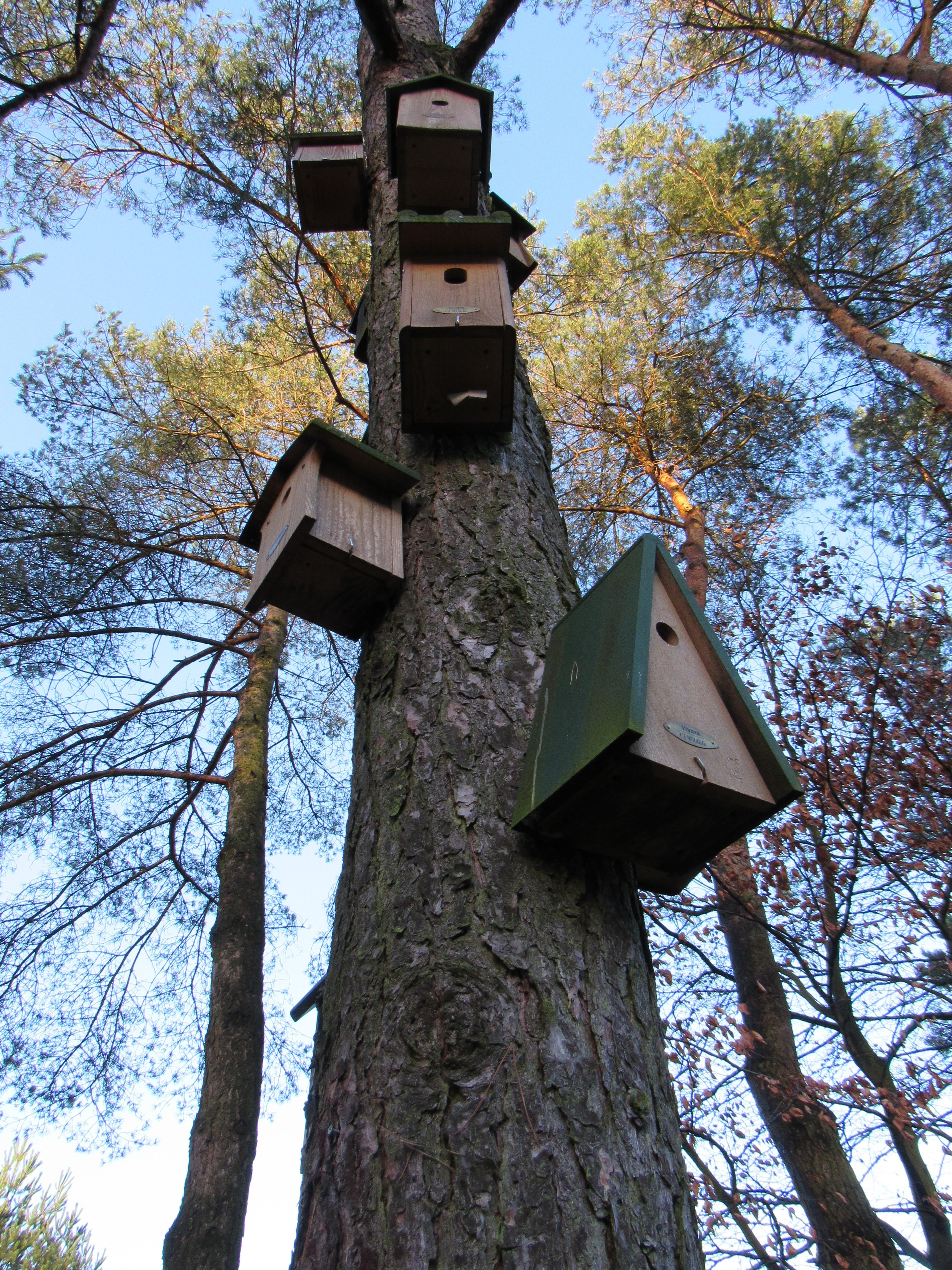 brown wooden birdhouses on tree