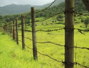 gray metal barbed wire thumbnail