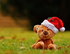 brown bear with santa hat plush toy thumbnail
