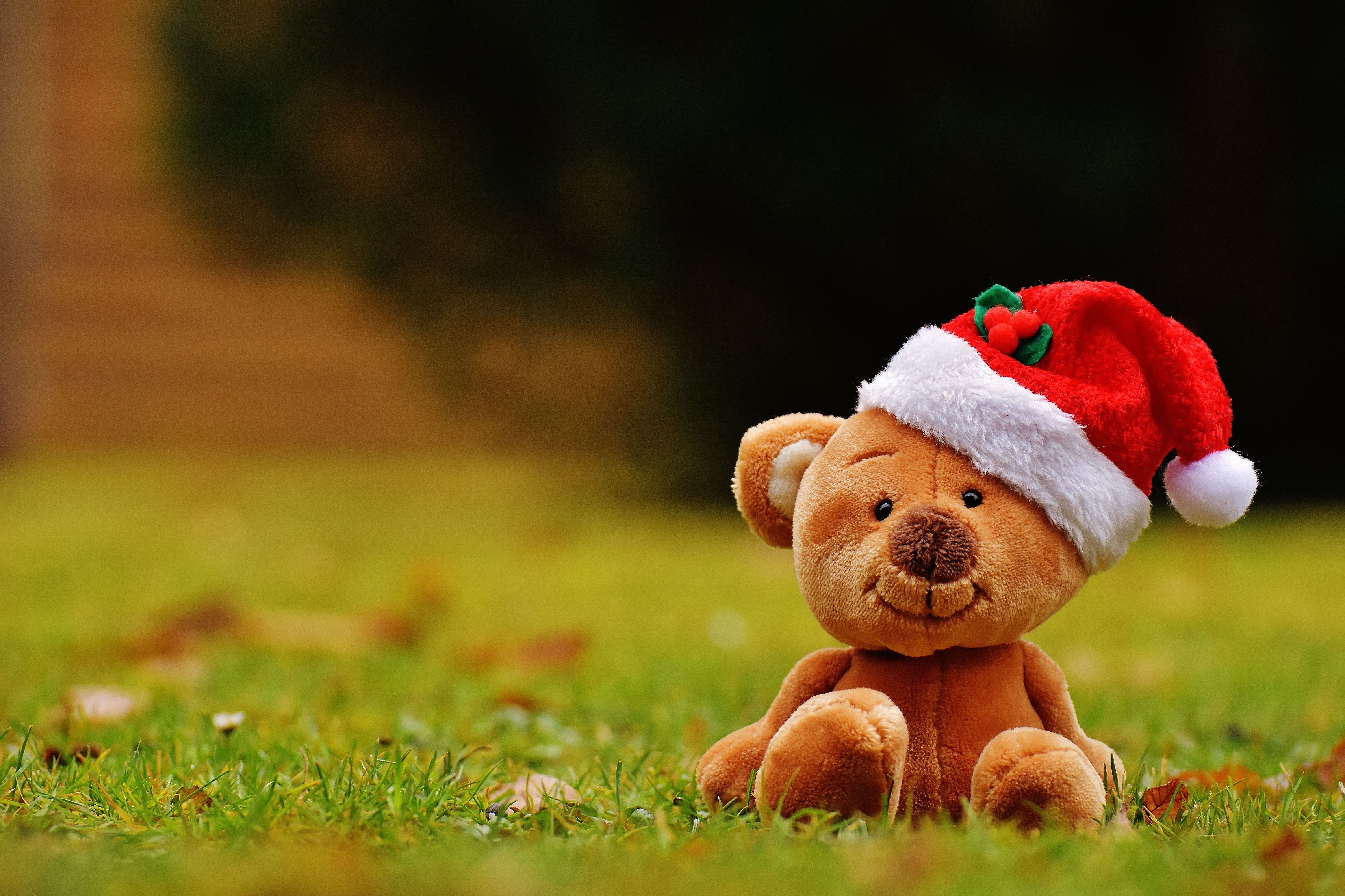 brown bear with santa hat plush toy