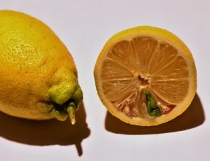 yellow lemon thumbnail