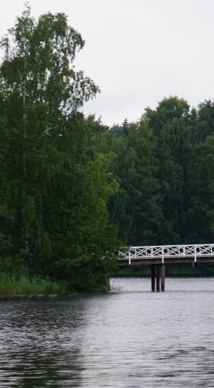 white bridge near tall green trees thumbnail