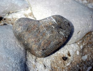 gray stone thumbnail