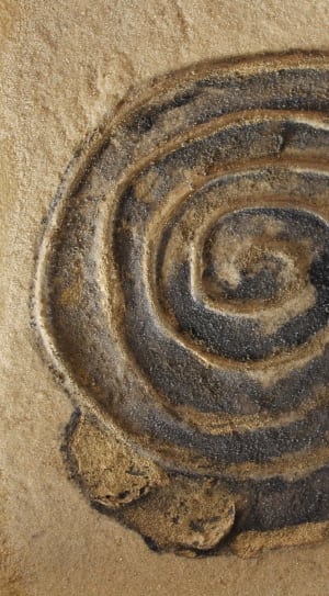 grey and brown spiral decor thumbnail