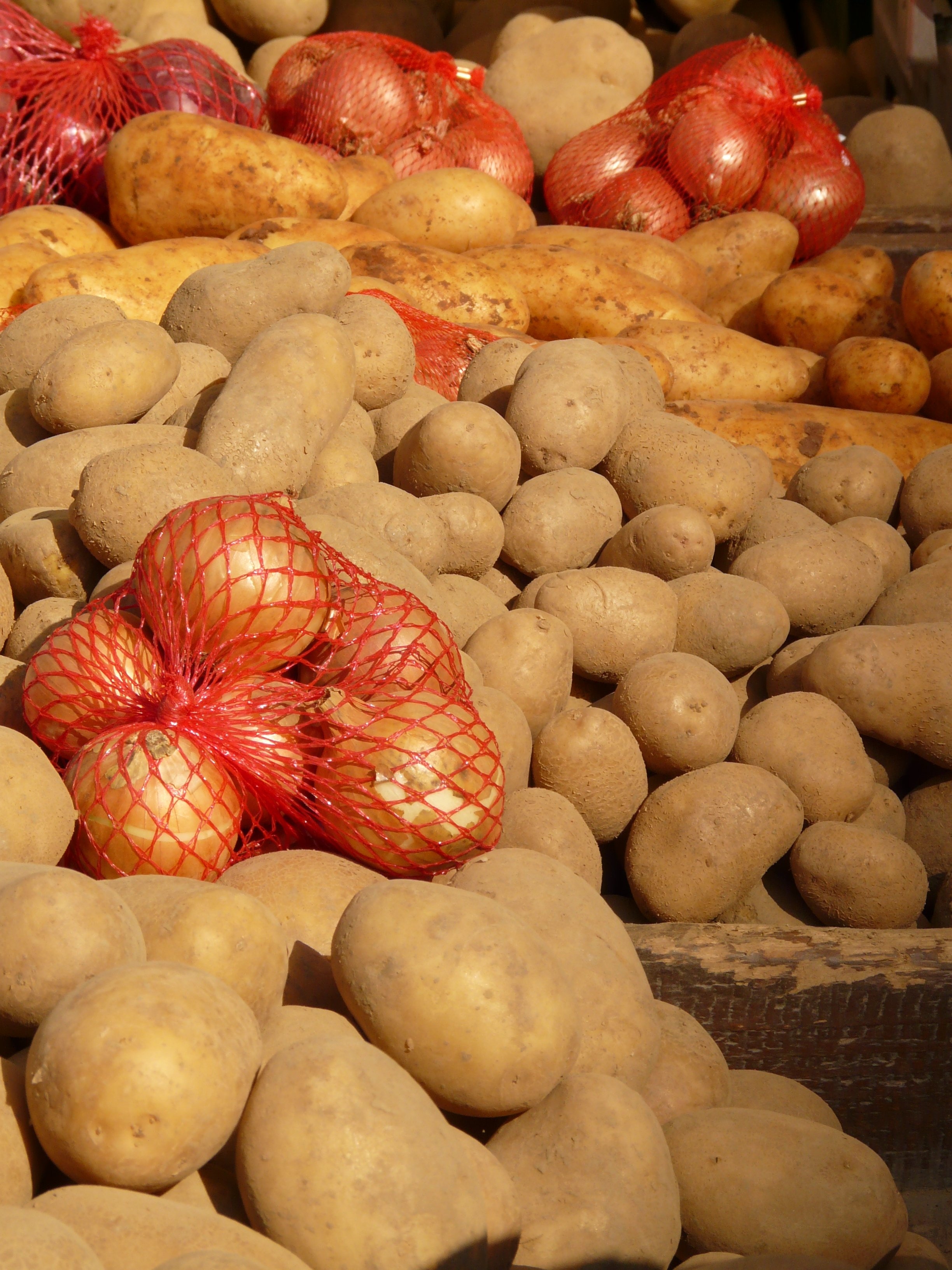 potato vegetable lot
