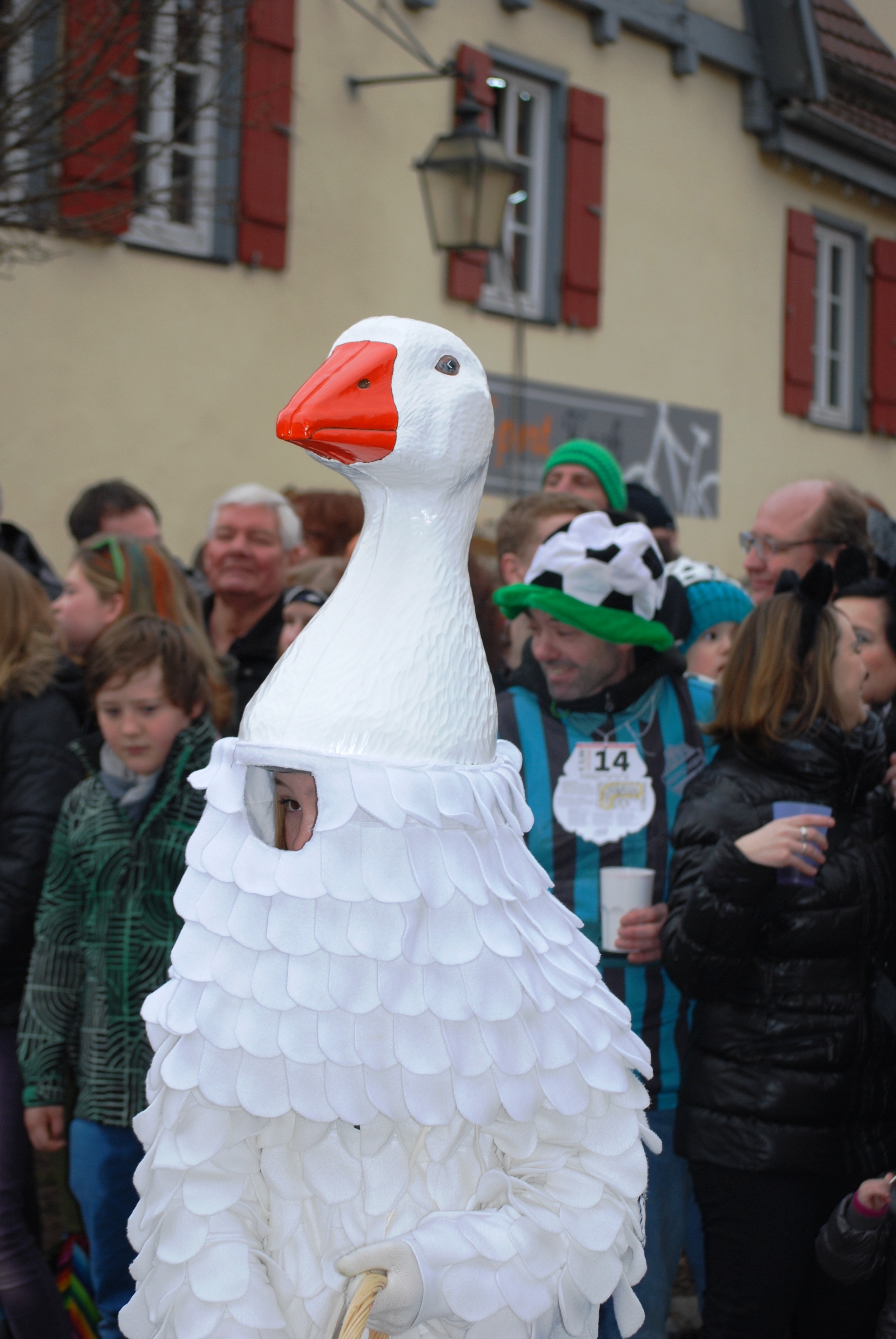 white swan costume