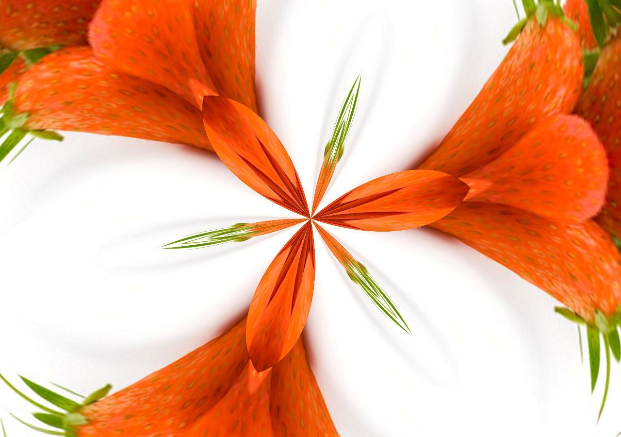 white and orange floral illustration