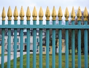 selective focus photo of teal and gold-coloured fence thumbnail