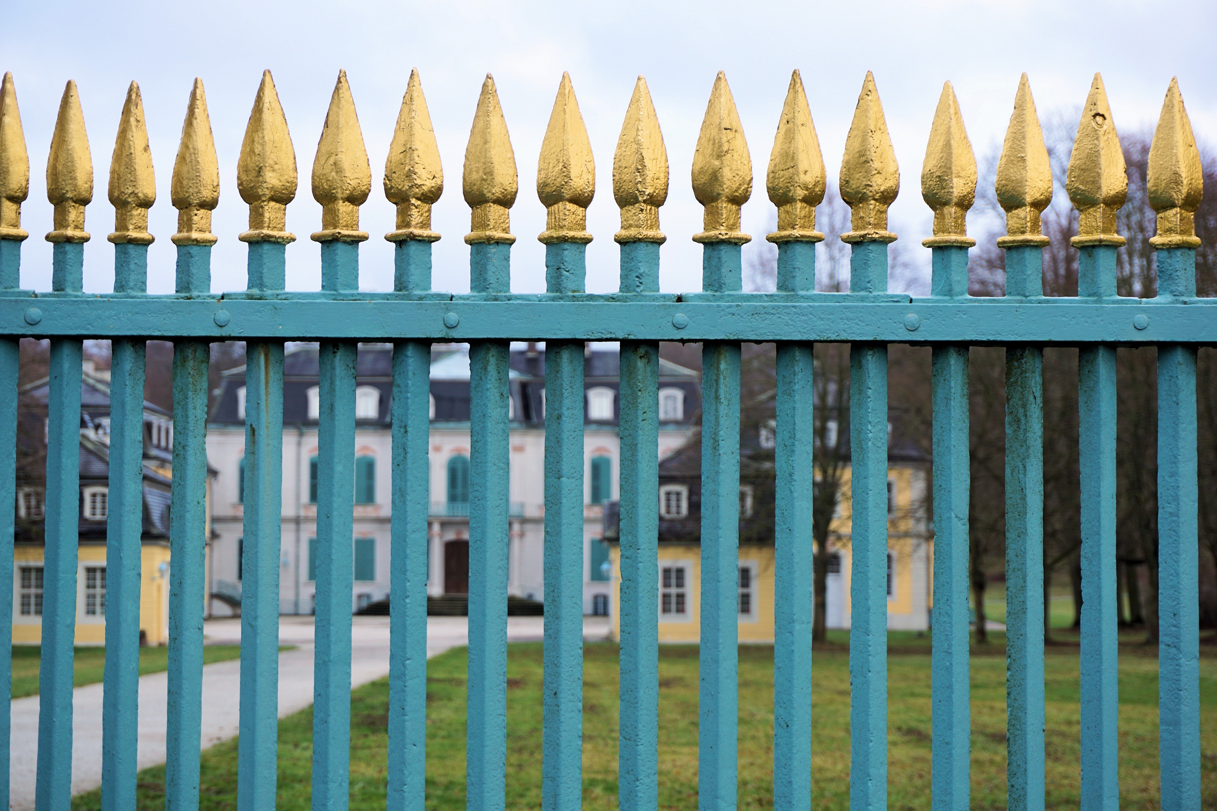 selective focus photo of teal and gold-coloured fence