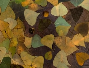 green purple and teal leaves painting thumbnail