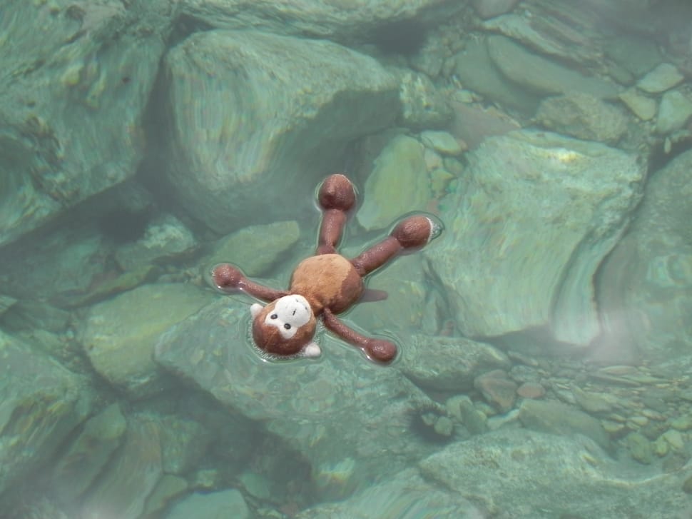 brown and white monkey wooden toy preview