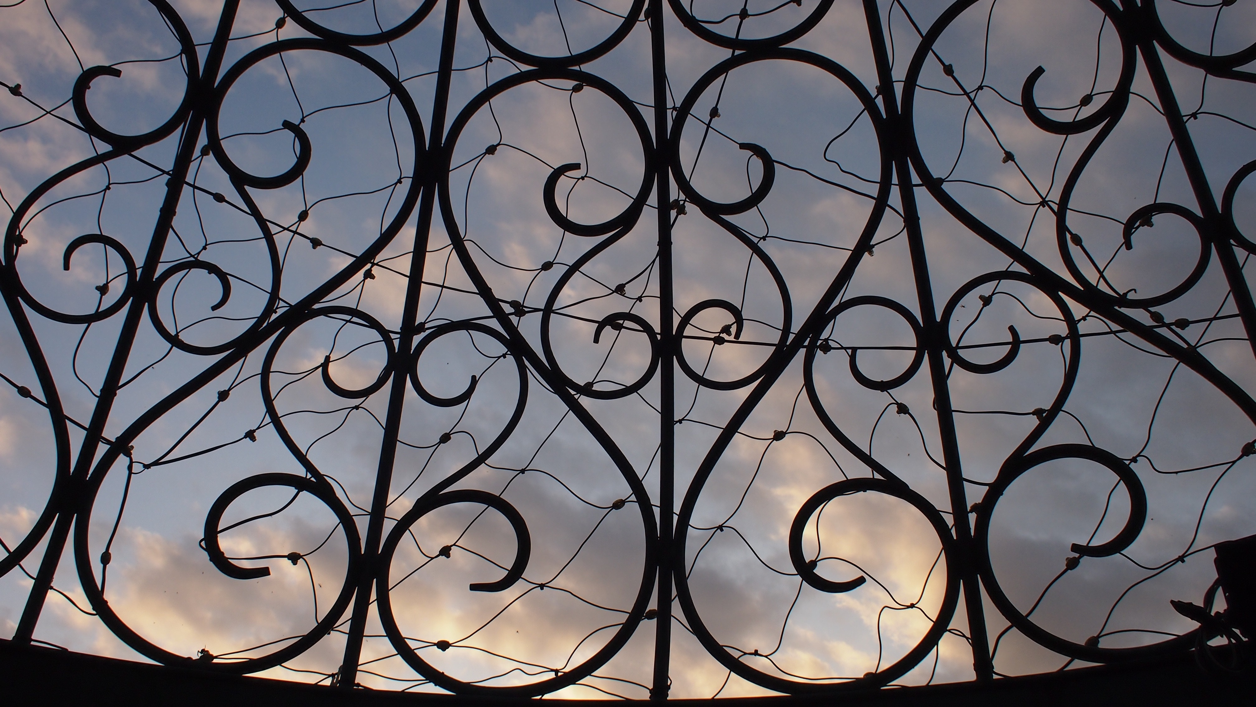 black steel gate photography during afternoon