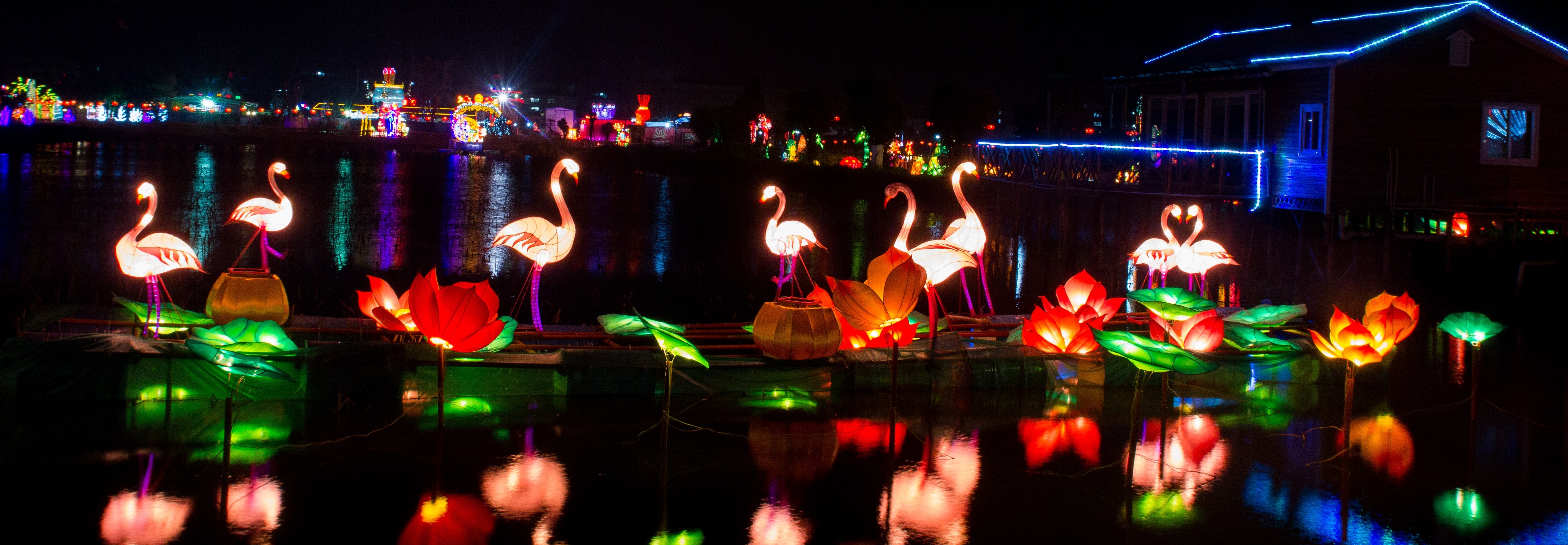 flamingos with lights in a body of water