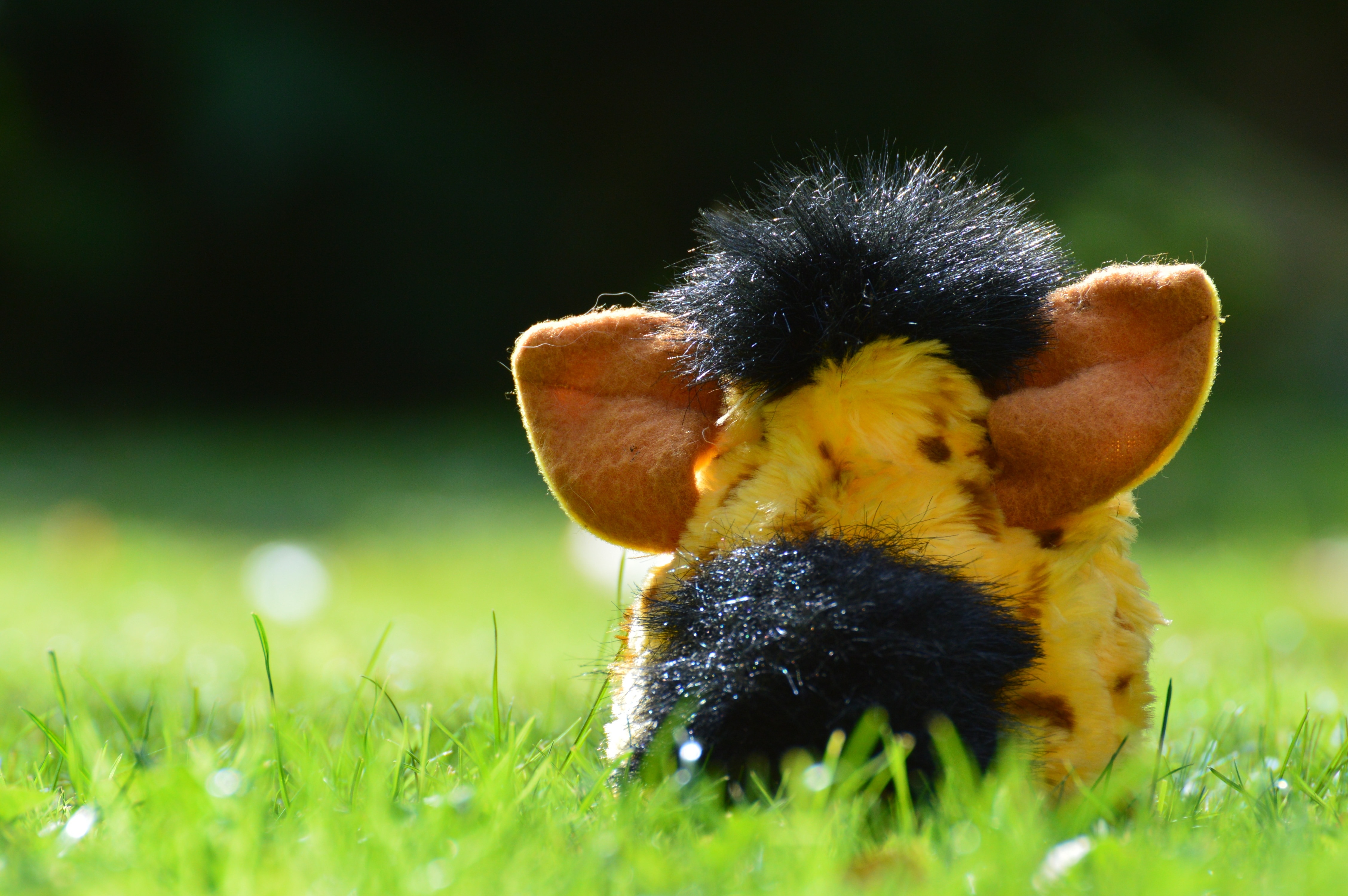 yellow and black pig plush toy
