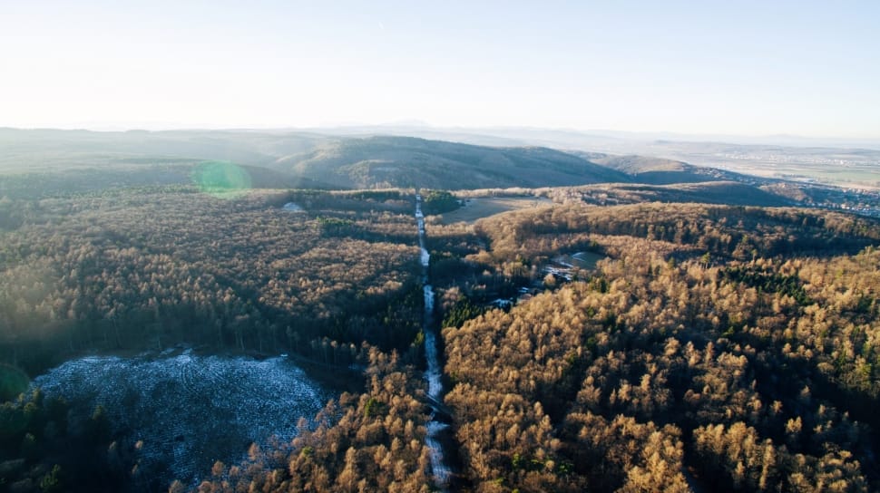 aerial photo of trees and road preview