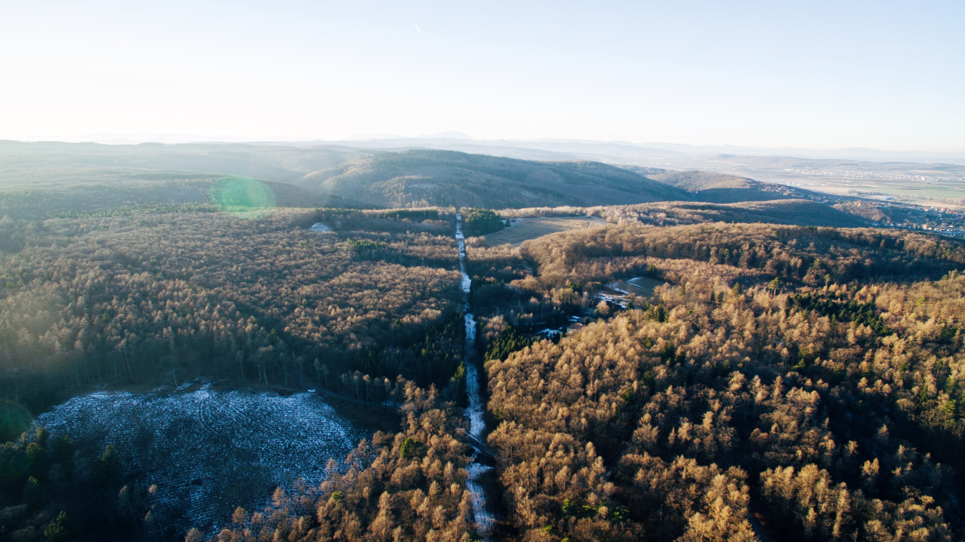 aerial photo of trees and road