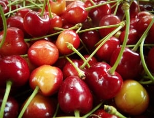 cherry fruit thumbnail