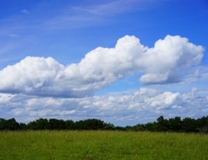 grass field under white clouds thumbnail