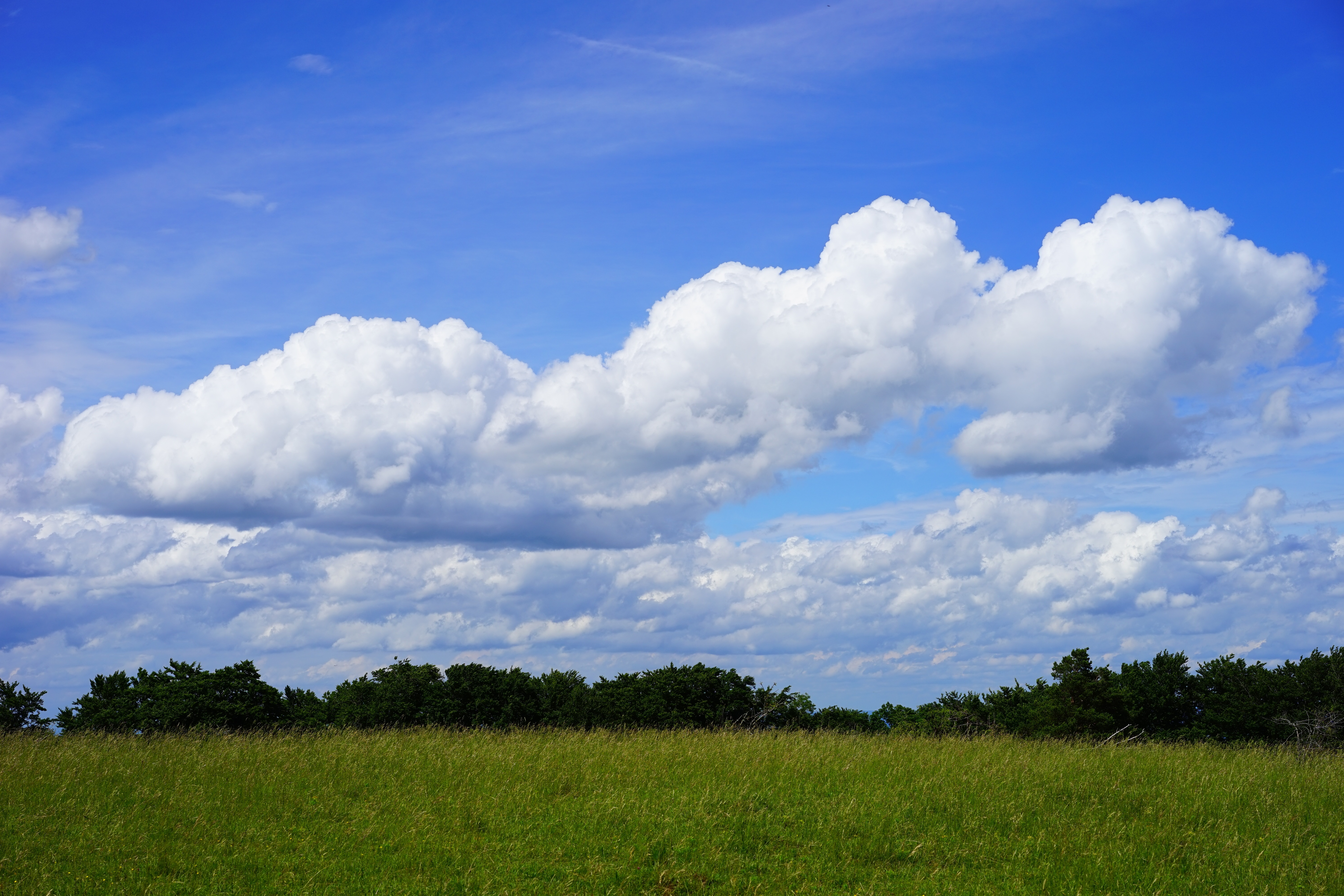 grass field under white clouds