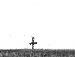 greyscale photo of person standing on green grass during daytime thumbnail