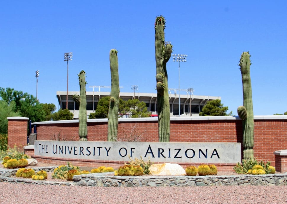 The university of arizona preview