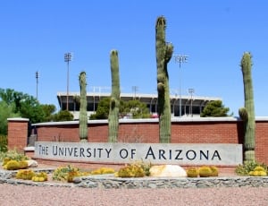The university of arizona thumbnail