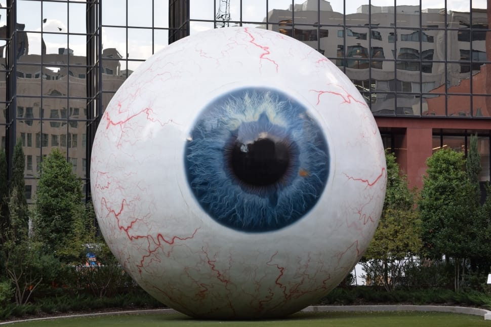 blue human eye landmark preview