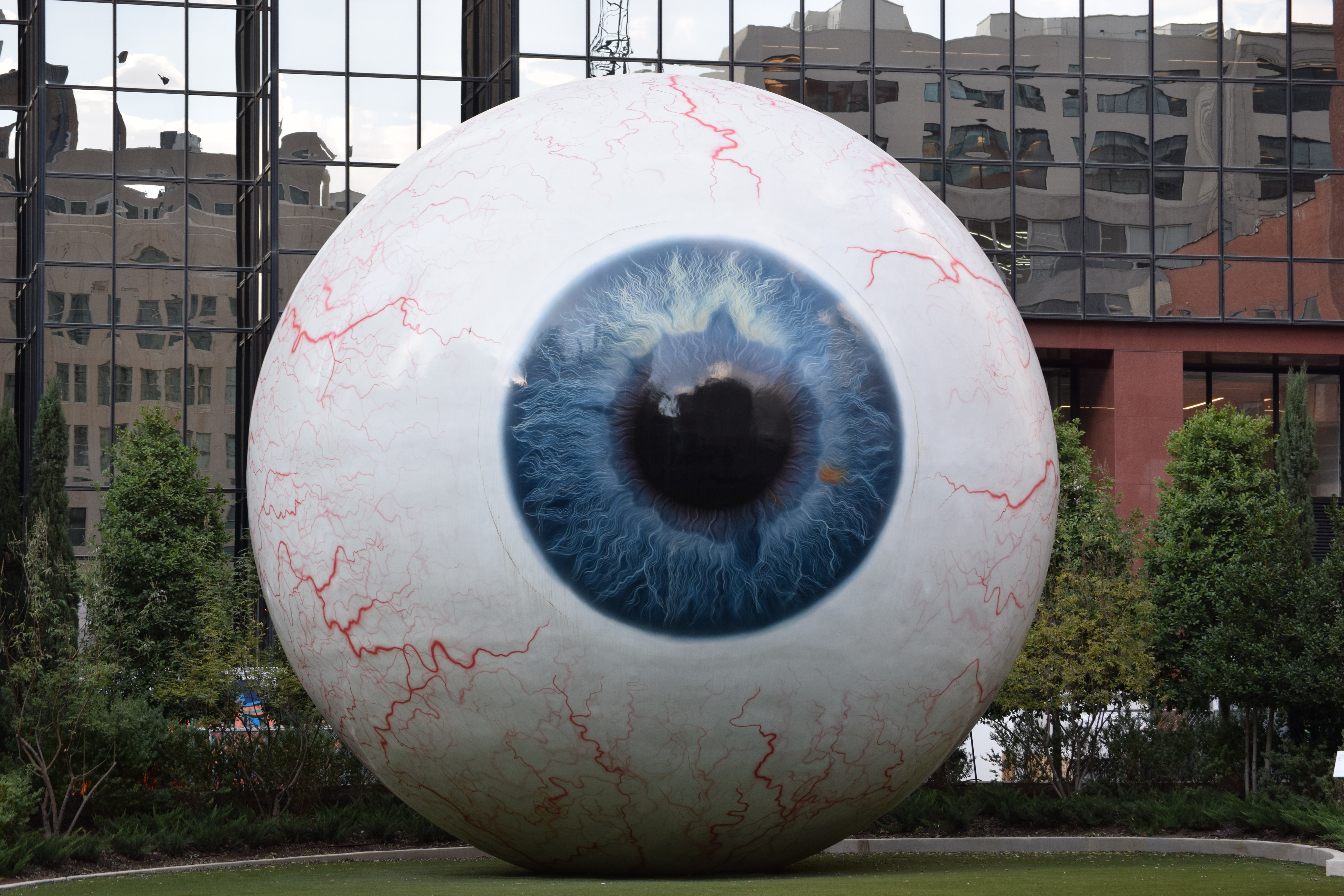 blue human eye landmark