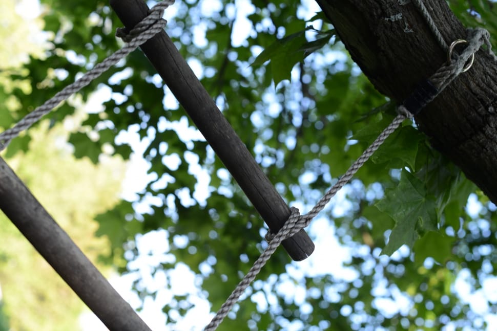 brown rope ladder preview